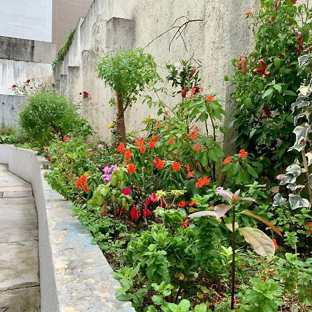 101- Lindo Apartamento Amplo E Decorado, 2 Quartos, Sala, Cozinha Completa, Mobiliario Moderno, Lavanderia , Excelente Localizacao No Bairro Bigorrilho Curitiba Bagian luar foto